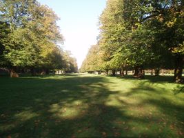 File:BushyParkAutumn.jpg File:BushyParkAutumn.jpg