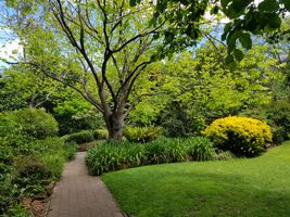 File:2019-11-10 EG Waterhouse National Camellia Gardens 2.jpg File:2019-11-10 EG Waterhouse National Camellia Gardens 2.jpg