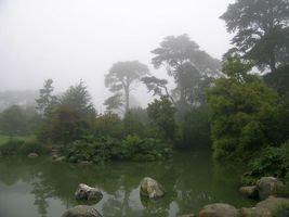 File:San Francisco Botanical Garden.jpg File:San Francisco Botanical Garden.jpg