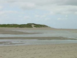 File:Zwin.jpg File:Zwin.jpg