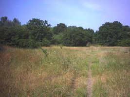 File:Mitcham Common. - geograph.org.uk - 21884.jpg File:Mitcham Common. - geograph.org.uk - 21884.jpg