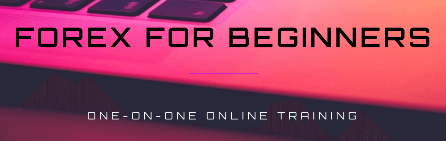 OneonOne Forex Training