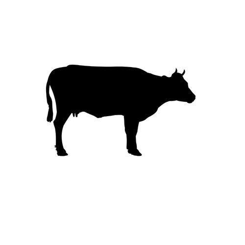 beef-rendang-padang-box-set