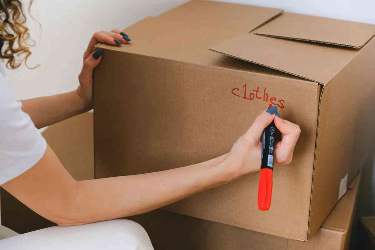 organize temporary move