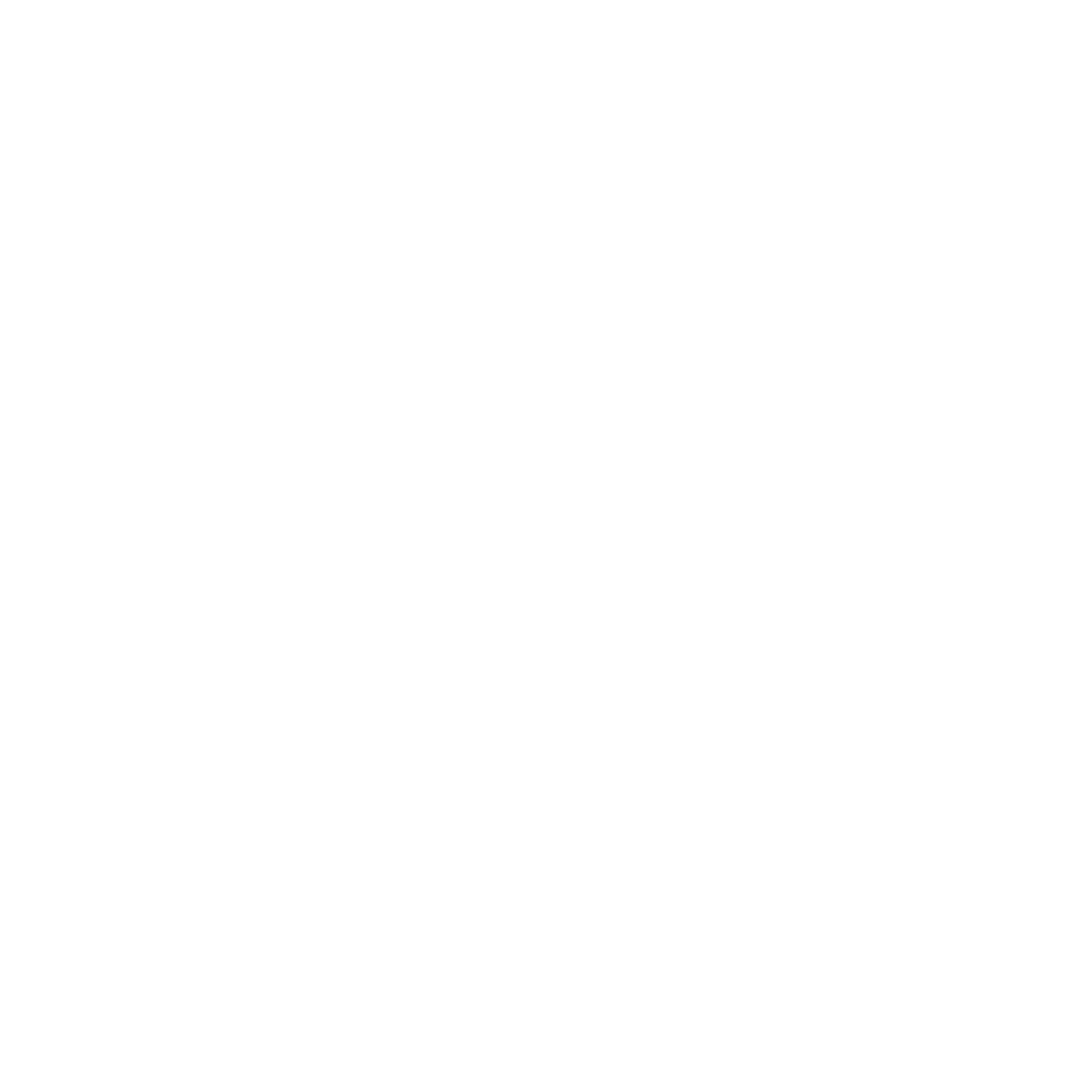 Pioneer