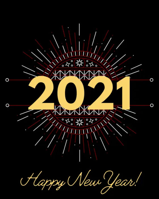 The Year 2020 in Review