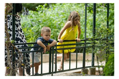 epaggelmatiki fwtografisi oikogeneias se parko  