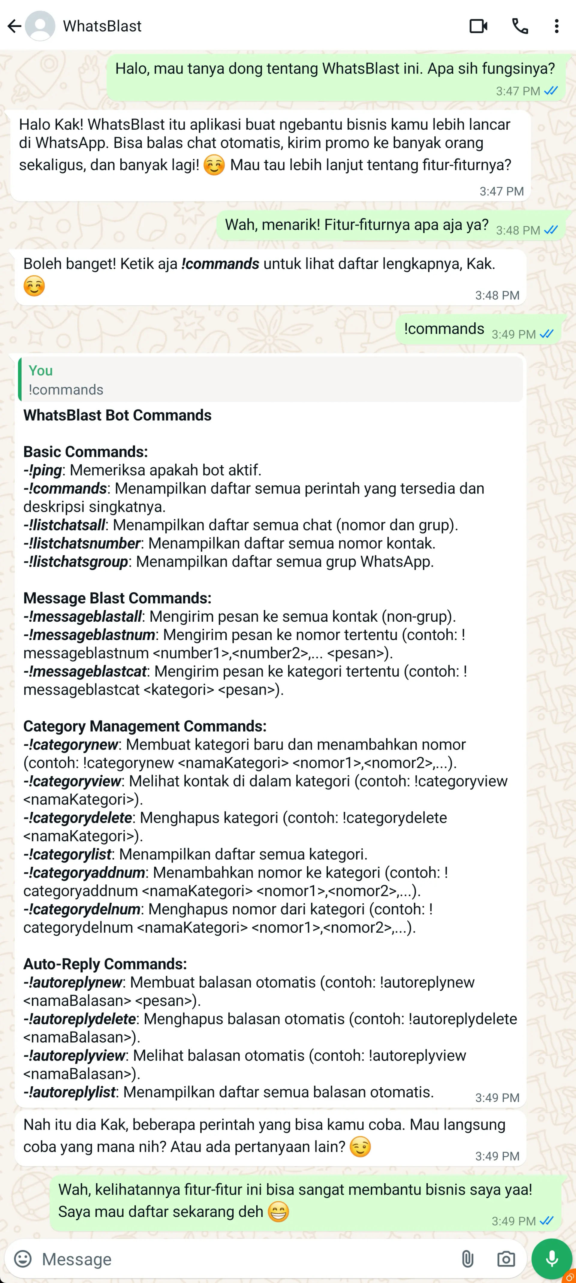 WhatsBlast features in an app screenshot