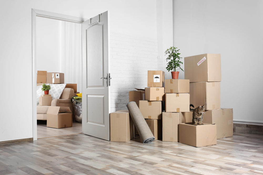 MOVE-OUT & MOVE-IN CLEANING