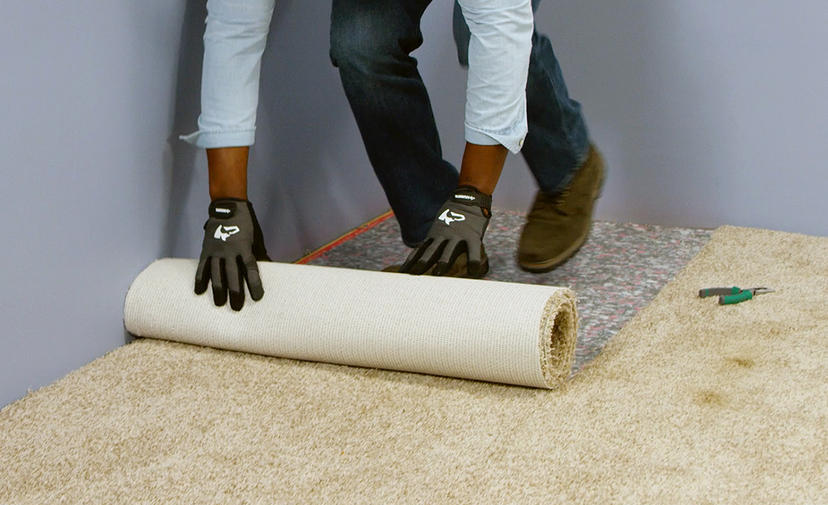 REMOVAL &
 DISPOSAL