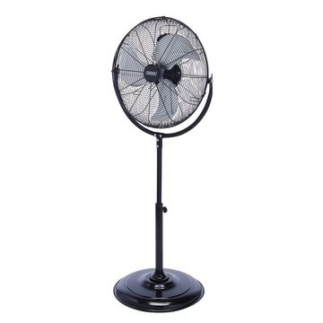 Pedestal Fan, 18