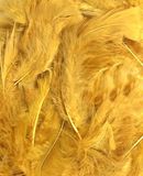 Eleganza Craft Marabout Feathers Mixed sizes 3"-8" 8g bag Gold No.35 - Accessories