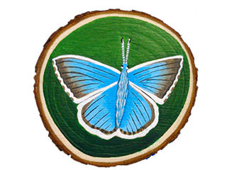 Hand painted Wood Slice Butterfly