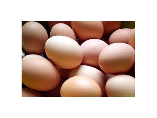 Organic Eggs - Medium