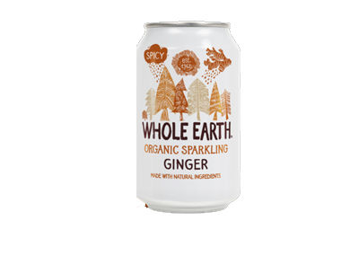 Organic Sparkling Ginger Drink