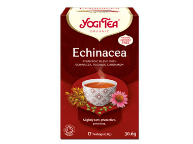 Echinacea Tea