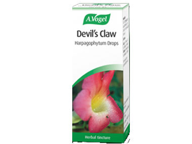 Devil's Claw 100ml