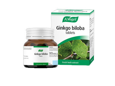 Ginkgo Biloba 120 tablets