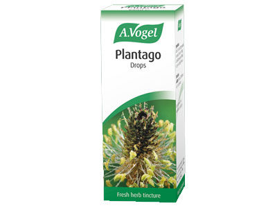 Plantago 50ml