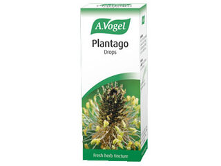 Plantago 50ml