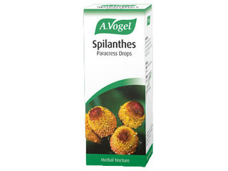 Spilanthes Oleracea 50ml