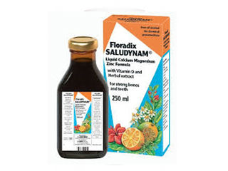 Floradix Saludynam 250ml