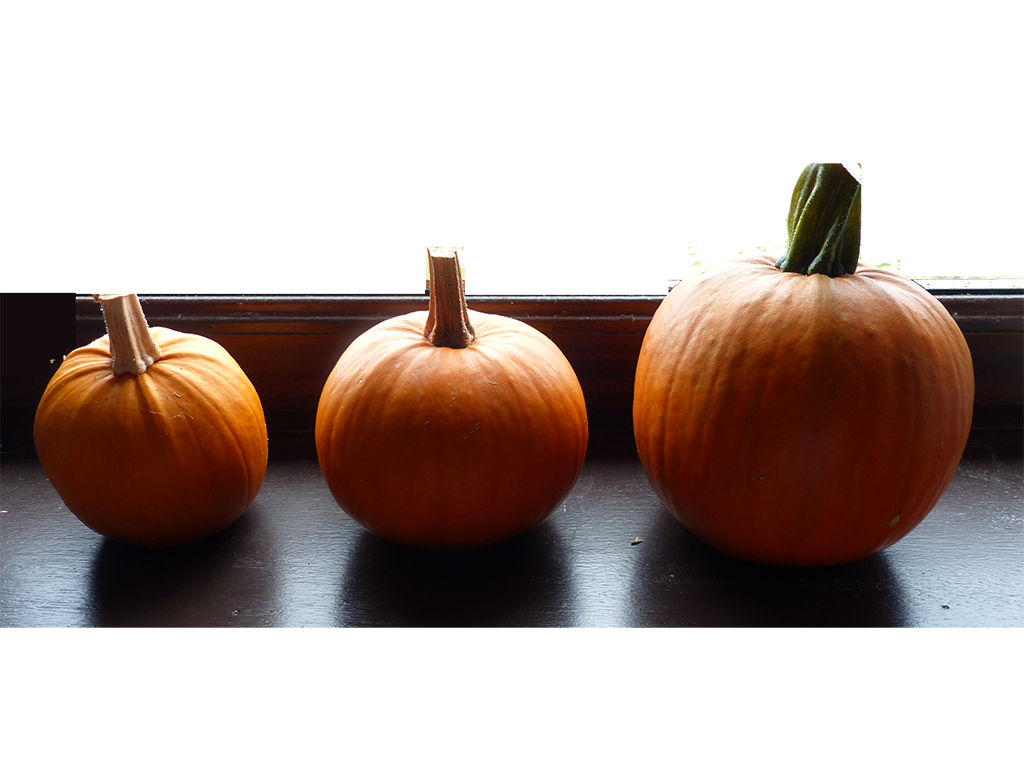 Pumpkin & Ginger Soup