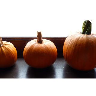 Pumpkin & Ginger Soup