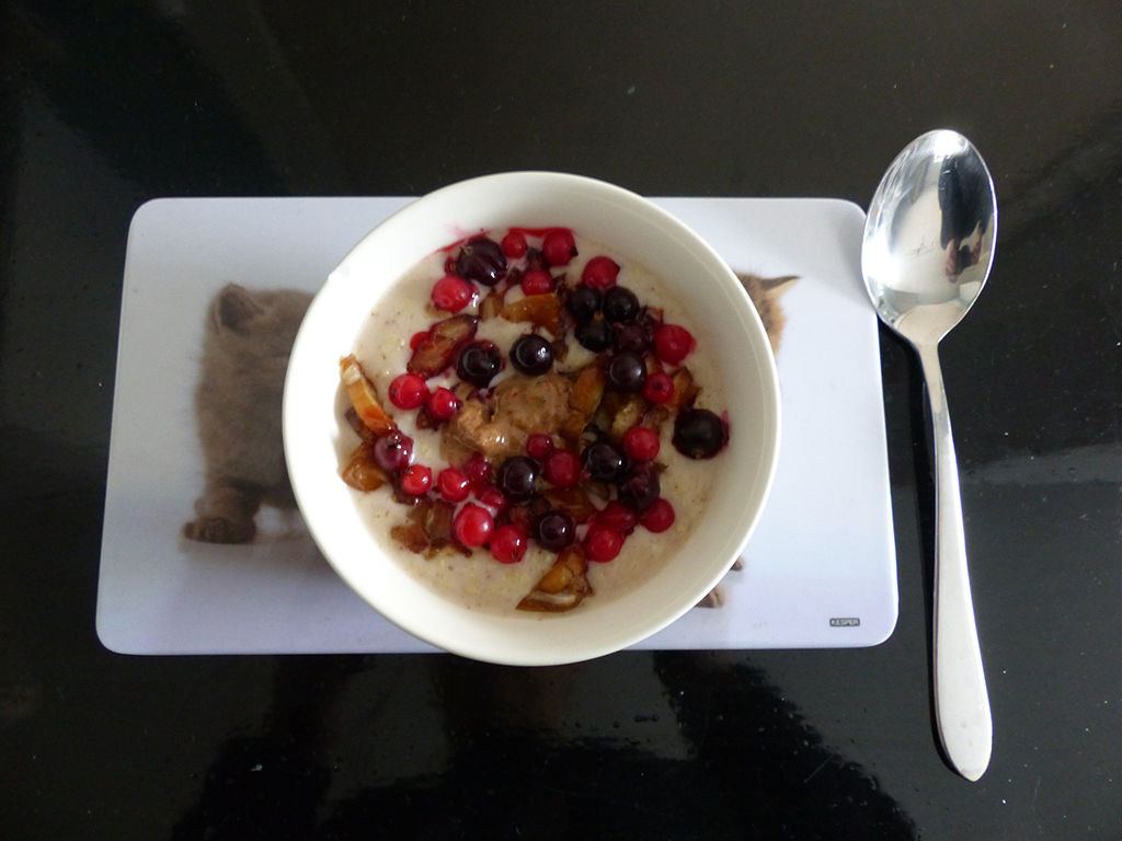 Millet Porridge