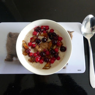 Millet Porridge