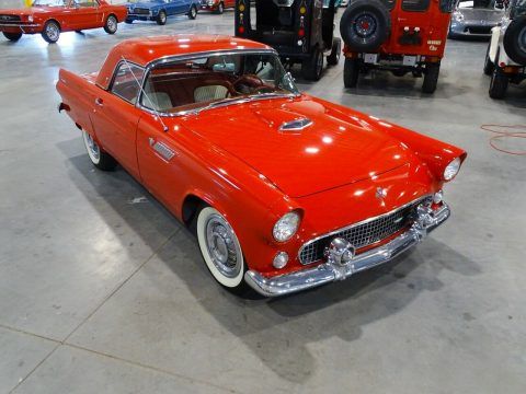 1955 Ford Thunderbird for sale