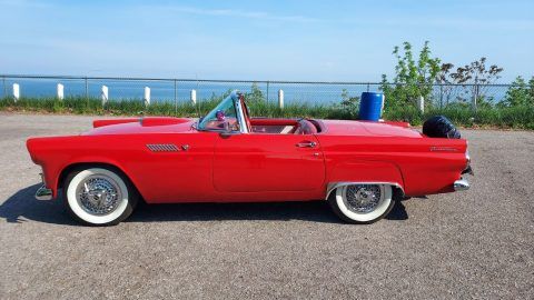 1955 Ford Thunderbird for sale