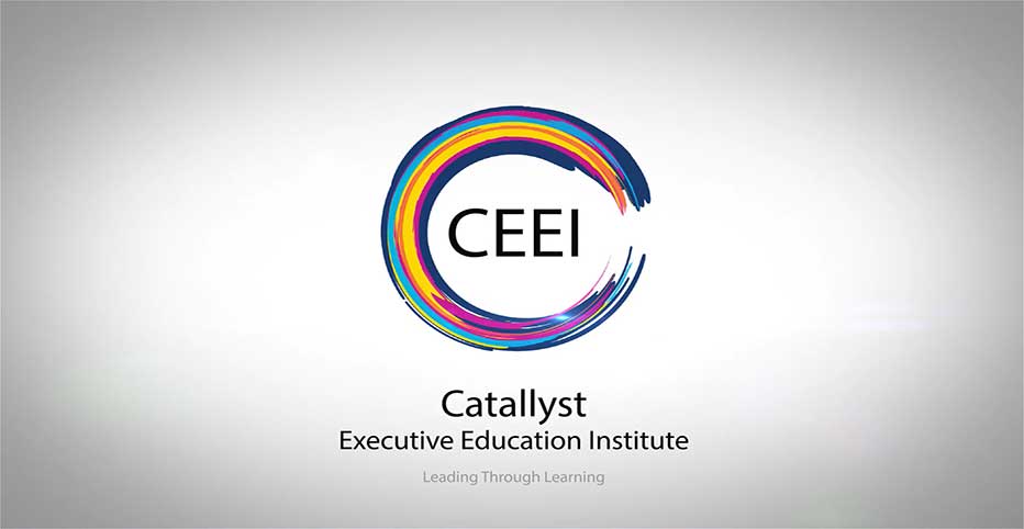 A Program Video by CEEI