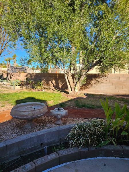 Back yard after landscaping