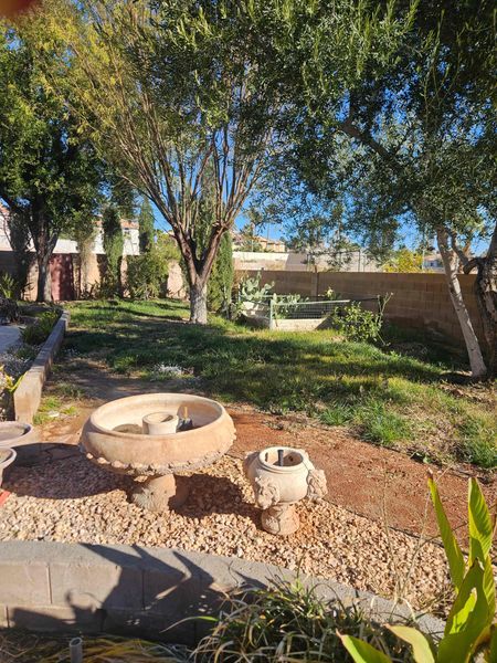 Back yard before landscaping