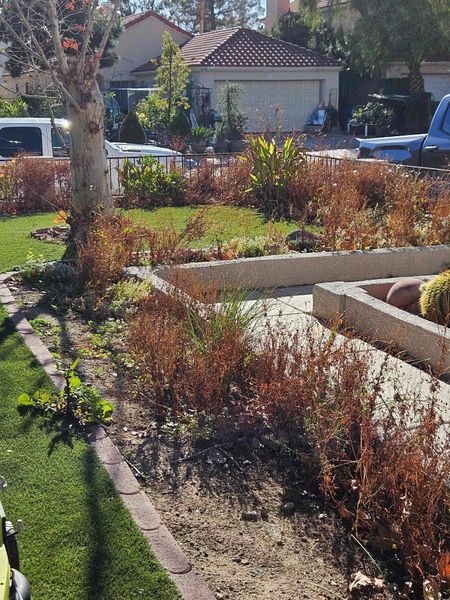 Front yard before landscaping