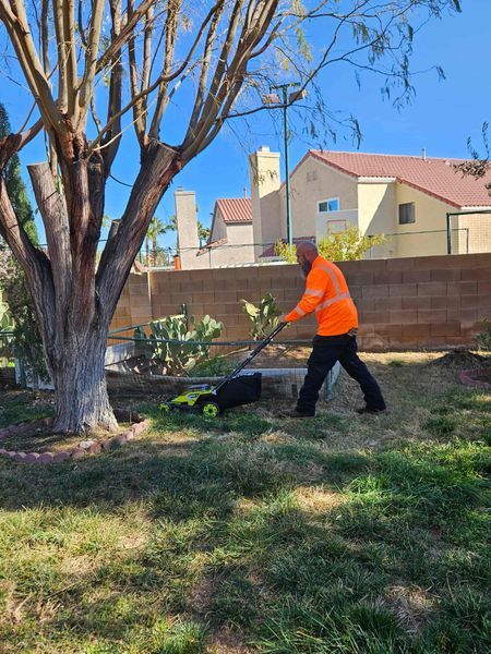 Terralumina arborist at work