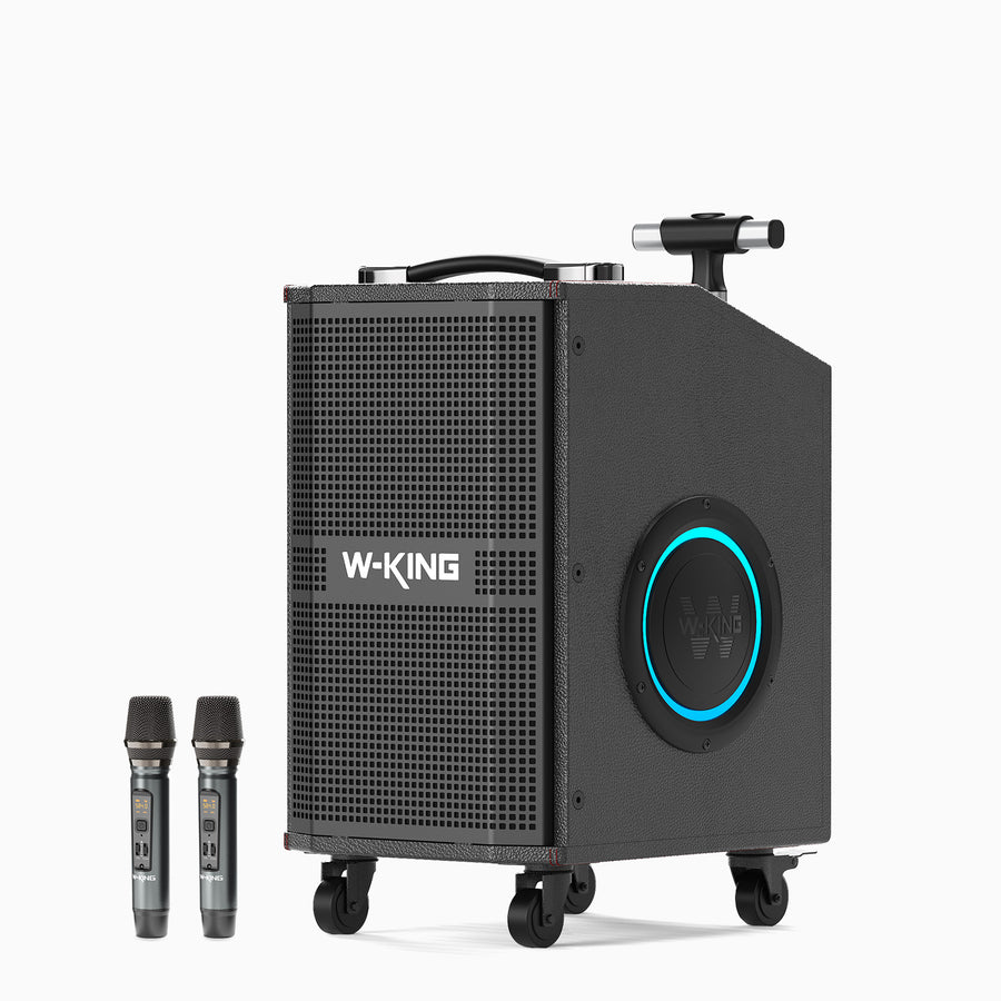 W-king K21se Speaker