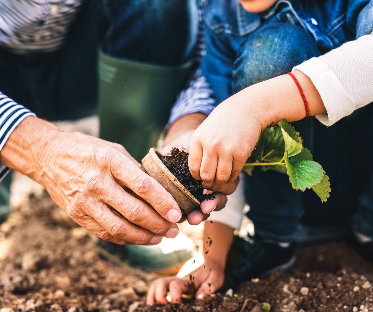 Learn to grow like a pro - take part in our gardening course