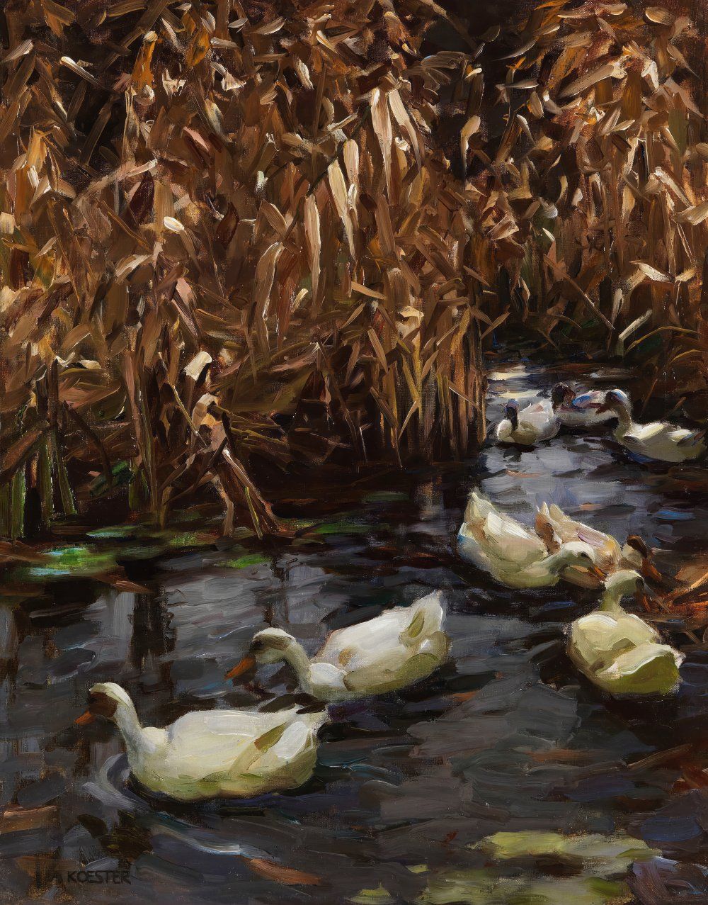 Konten River With Swans Swimming