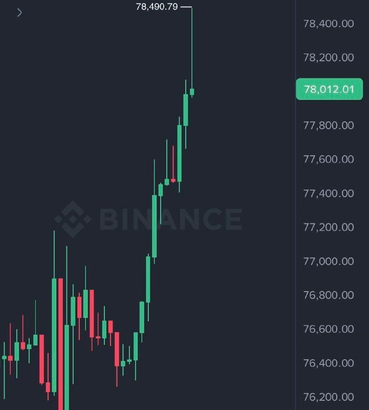 Bitcoin recupera los USD 78.000