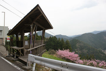 Pilgrim Hut No.36 Kamiyama