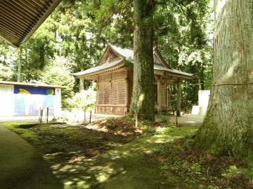 Otakiji