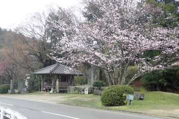 Pilgrim Hut No.23 Senyuji Settai Center