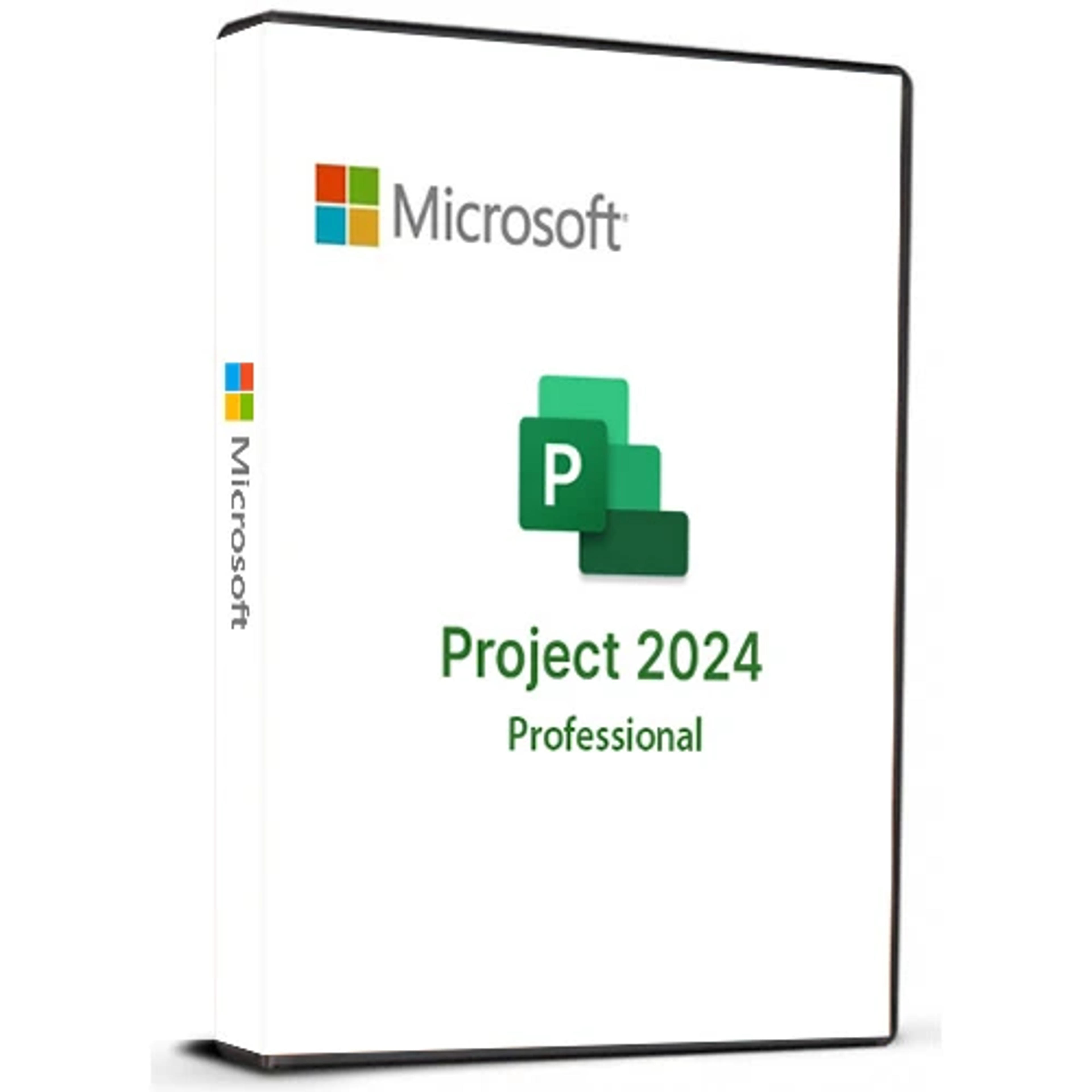 Ms Project Professional 2024 Email Bind key 1pc lifetime validity