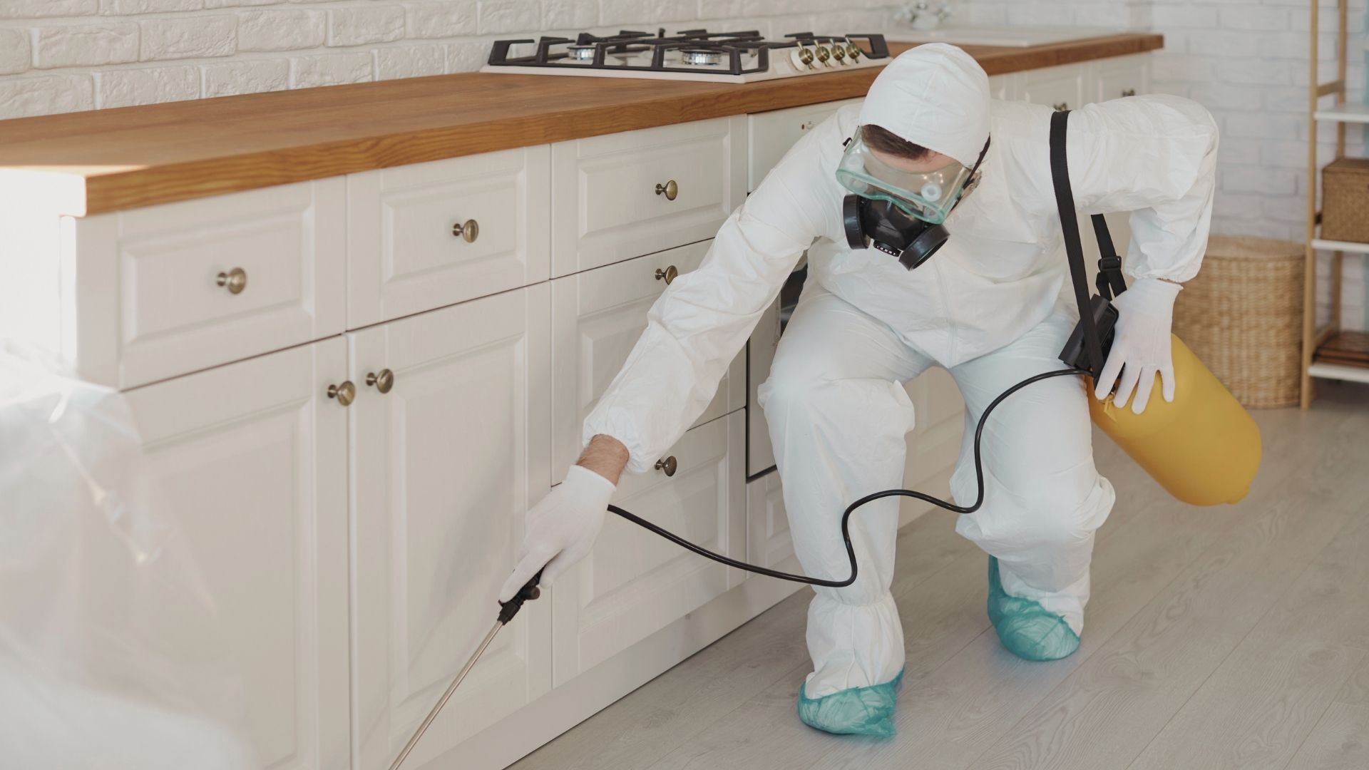 FAQS about Cockroach Extermination Services in Chula, MO
