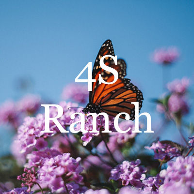 4S Ranch Homes for Sale