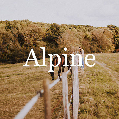 Alpine Homes for Sale