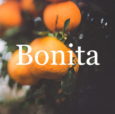 Bonita Homes for Sale