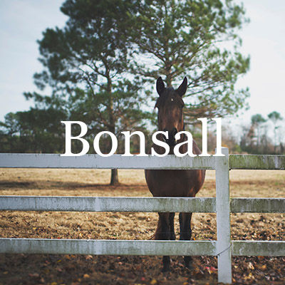Bonsall Homes for Sale